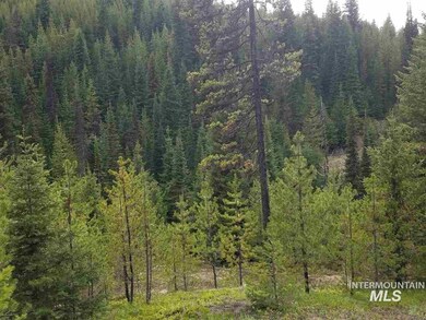 TBD American Eagle Properties Survey 1810 & Survey 188, Elk City, ID 83525 - photo 2