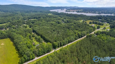 12.2 Riddles Bend Rd, Rainbow City, AL 35906 - photo 4