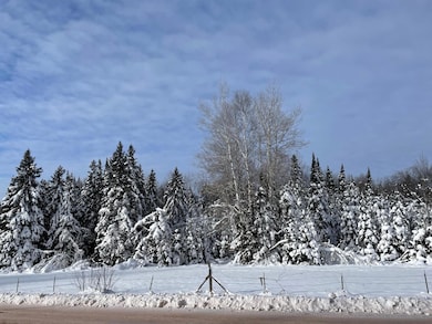 On Cth F unit 20 +/- A, Butternut, WI 54514 - photo 7