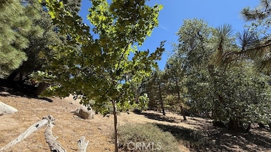 0 Piedras Grande unit IV25186085, Green Valley Lake, CA 92341 - photo 7