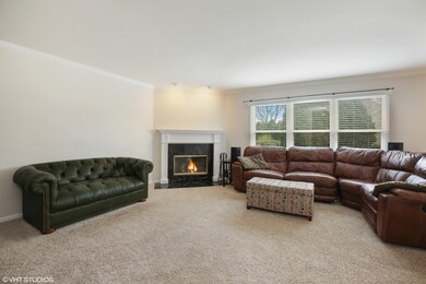 921 Prairie Dr, Algonquin, IL 60102 - photo 7