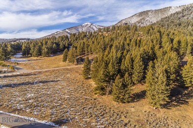 2383 Two Gun White Calf, Big Sky, MT 59716 - photo 4