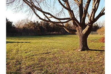 Other. yard