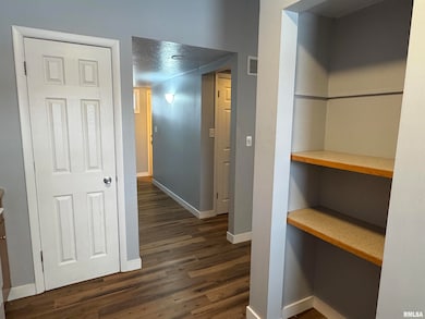 3814 Mississippi Ave, Davenport, IA 52807 - photo 7