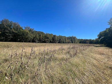 0 Walls Rd, Somerville, TN 38068 - photo 7