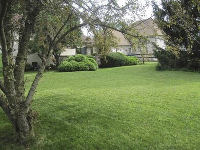 outside backyard