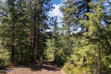 NKA Highway 97, Harrison, ID 83833 - photo 5