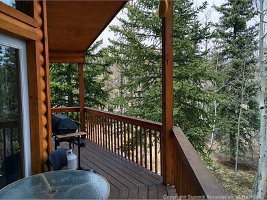 38 Grebe Ln, Como, CO 80432 - photo 7