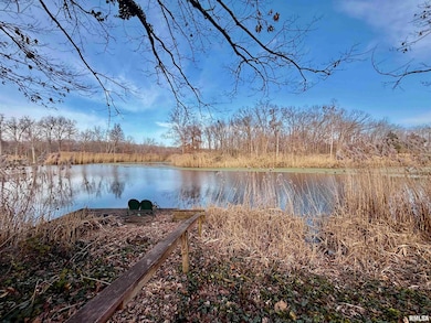 421 County Road 2400 N, Centralia, IL 62801 - photo 6