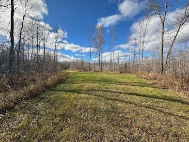 TBDxx Minnesota 65, Jacobson, MN 55752 - photo 7