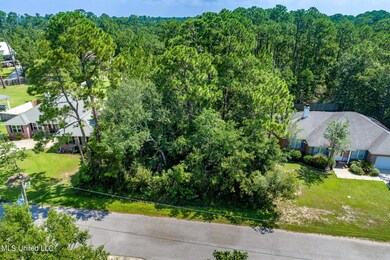 4 Drone View (7 of 14)