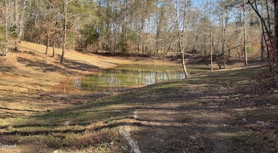 00 Thorngrove Pike, Kodak, TN 37764 - photo 4