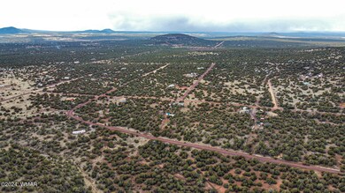 dji_fly_20240309_135024_264_171001747870