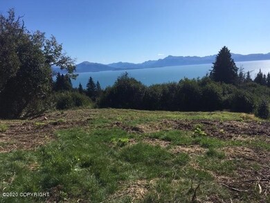 Bldg site #2 w ocean in back