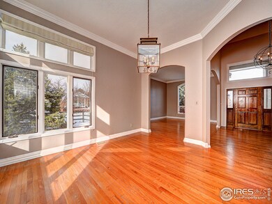 6802 Peppertree Dr, Niwot, CO 80503 - photo 5