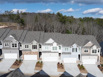 Drone / aerial view of a forest