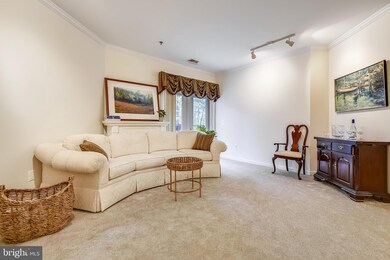 802 Coxswain Way unit 105, Annapolis, MD 21401 - photo 5