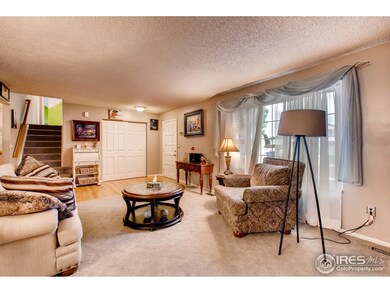 11582 Albion St, Thornton, CO 80233 - photo 5