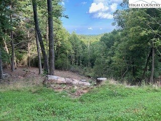 13 Wilderness Reserve Pkwy, Deep Gap, NC 28618 - photo 5