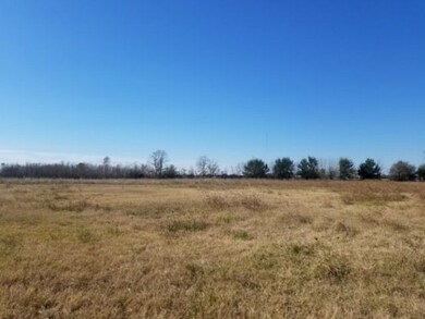 0 Adams Rd unit 773797, Bay City, TX 77414 - photo 4