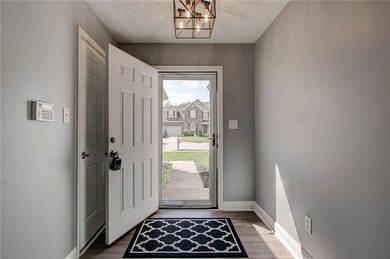 New front door, garage entry door, storm door and entry light