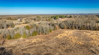 Tract 8 Rooster Rd, Conway, AR 72032 - photo 7