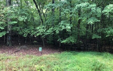 Additional View