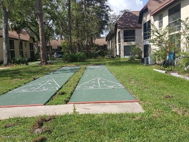 Camelot Shuffleboard Courts