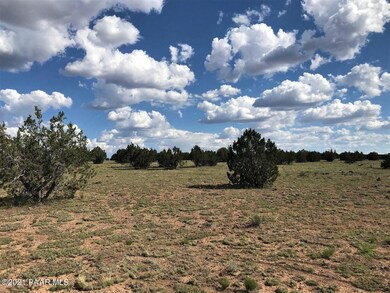 64 NW Off of Old Rt 66, Ash Fork, AZ 86320 - photo 4