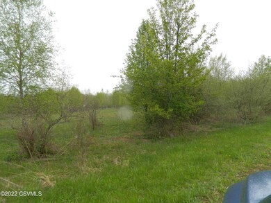 CORNER OF Alexis Drive & Hidlay Church Rd, Bloomsburg, PA 17815 - photo 5