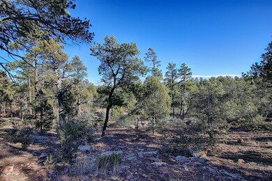 428 S Pleasant View Dr, Show Low, AZ 85901 - photo 2