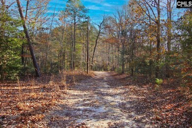 1679 McCreight Rd, Ridge Spring, SC 29129 - photo 5