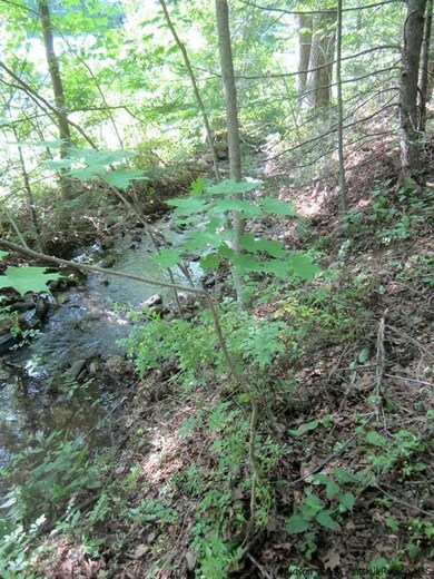 0 Foordmore Rd unit 20133920, Wawarsing, NY 12446 - photo 2