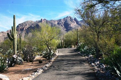 IMG_5651-Driveway