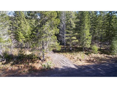 0 Lahar Ln unit 8 20357887, Cougar, WA 98616 - photo 3