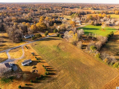 000 Dunnigan Ln, Benton, KY 42025 - photo 6