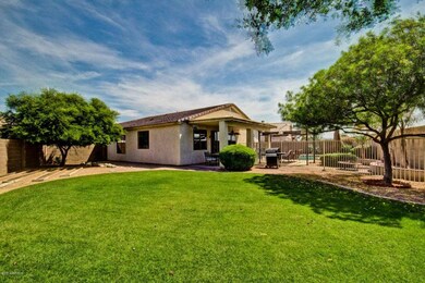 Grass yard view to Patio