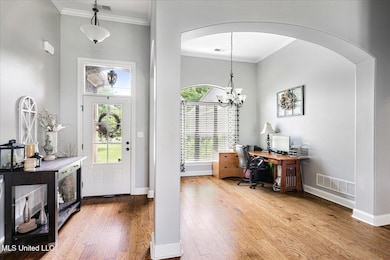 6865 Payne Ln, Olive Branch, MS 38654 - photo 6