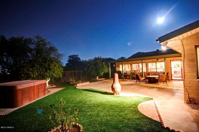 Back Yard-2