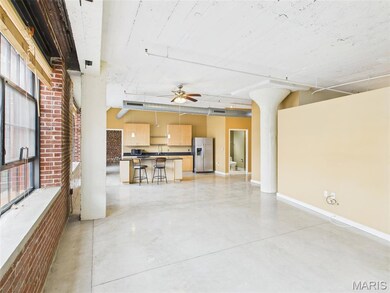 Printer's Lofts unit 507, Saint Louis, MO 63103 - photo 5