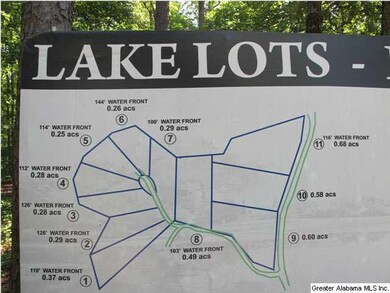 Lot 1 Wedowee Creek View Dr unit LOT 1, Wedowee, AL 36278 - photo 6