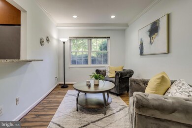 2305 Farrington Ave unit 102, Alexandria, VA 22303 - photo 5