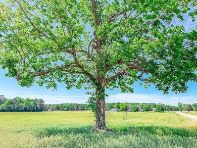 Tbd Hwy 19 unit LotWP001, Nichols, SC 29581 - photo 4