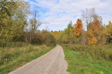 Bingo Drive Extension unit Pork Creek Edwards N, Talcville, NY 13635 - photo 5