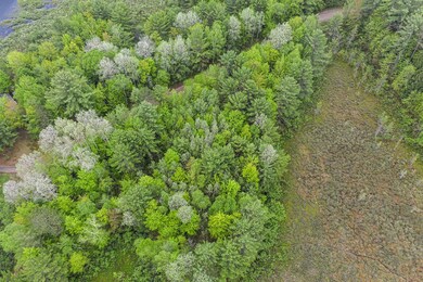 Lot 47 Whitetailed Deer Dr, Tomahawk, WI 54487 - photo 5
