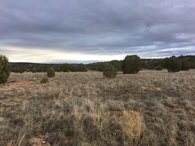 1850 E Aiken Ranch Rd, Paulden, AZ 86334 - photo 5