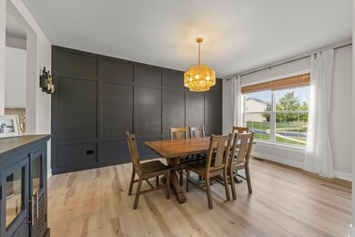 220 Julep Ave, Oswego, IL 60543 - photo 6