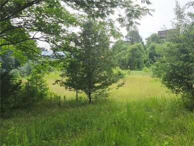 View of local wilderness