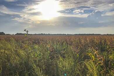 136 +/- Acres K-96 and 119th St, Maize, KS 67101 - photo 6
