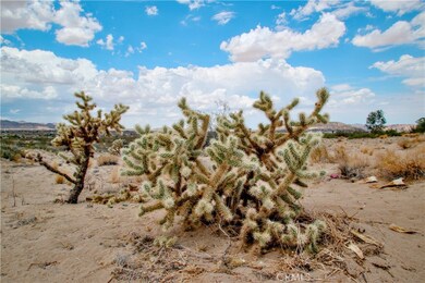 0 Easton Rd unit JT25097780, Landers, CA 92285 - photo 2